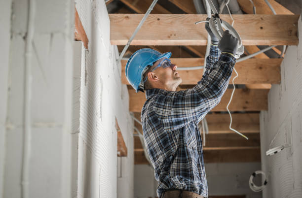 Best Electric Panel Repair  in Dupont, WA